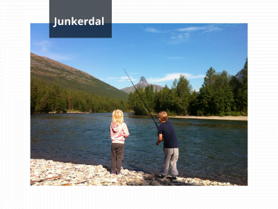 junkerdal.no snapshot