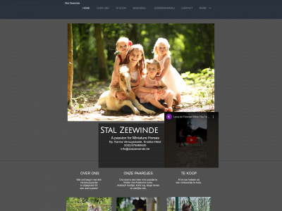 stalzeewinde.be snapshot
