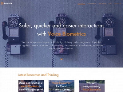 symnexconsulting.com snapshot