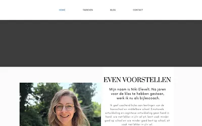 debijlescoach.nl snapshot