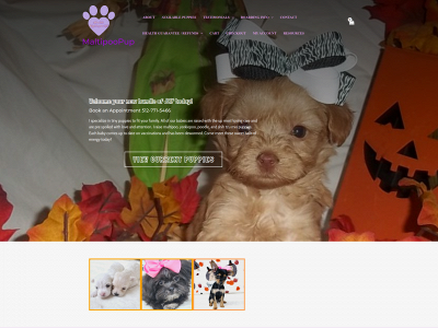 maltipoopup.com snapshot