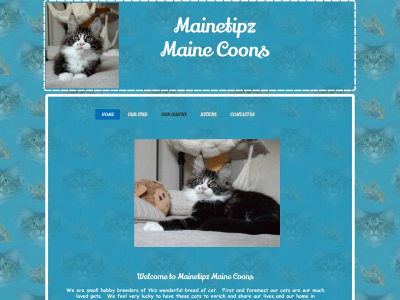 www.mainetipz-mainecoons.uk snapshot