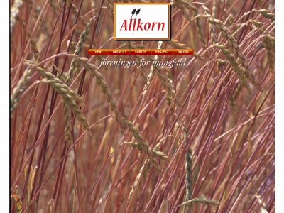 allkorn.se snapshot