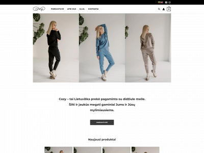 mezgucozy.lt snapshot