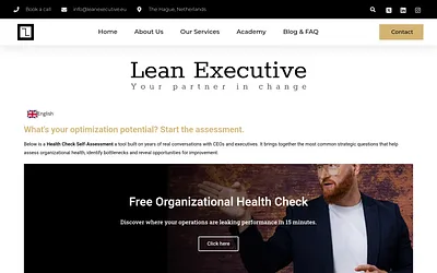 leanexecutive.pl snapshot