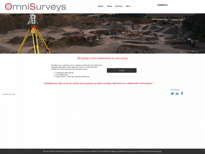 omnisurveys.co.uk snapshot