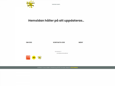 monnismaleriplatt.se snapshot