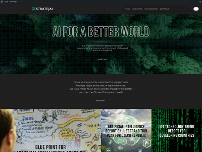stratejai.com snapshot