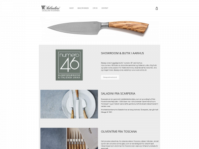 saladini.dk snapshot