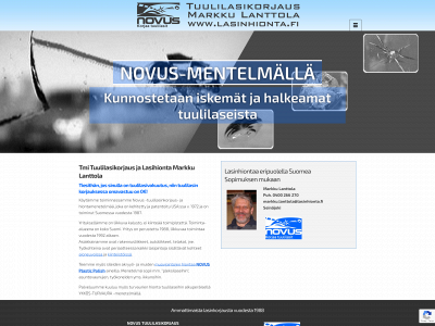 lasinhionta.fi snapshot