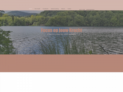 focuskracht.be snapshot