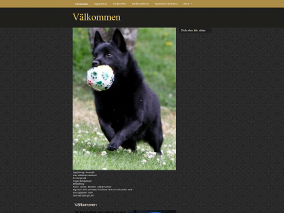 harabs-schipperke.123minsida.se snapshot