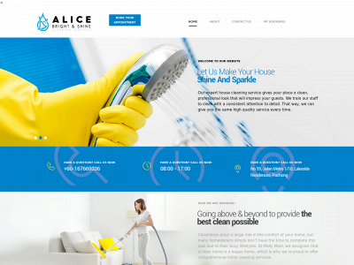 alice-bright.com snapshot