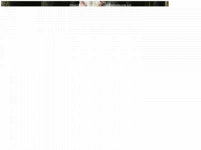 dress.com snapshot