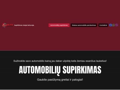 blitzsupirkimas.lt snapshot