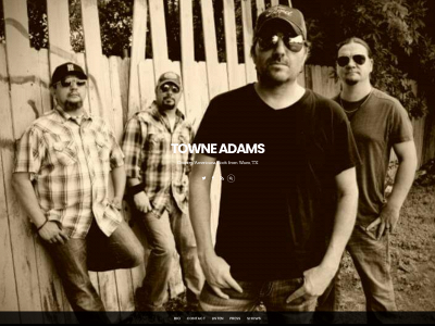 towneadams.com snapshot