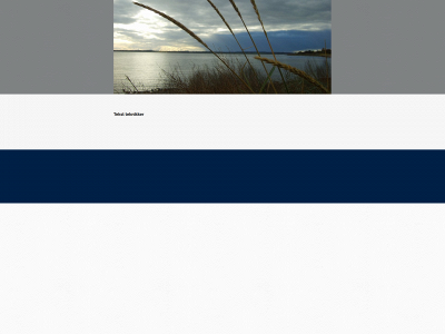 webcontact.dk snapshot