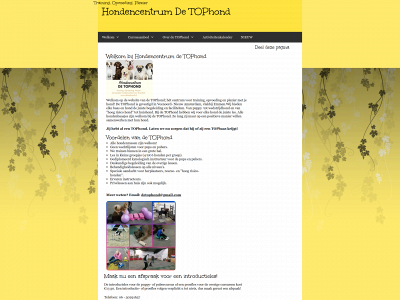 detophond.nl snapshot