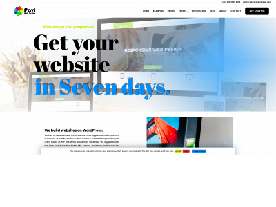 paviwebdesign.com snapshot