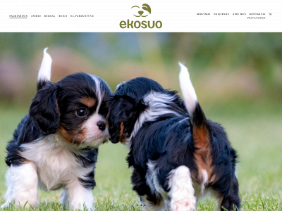 ekosuo.lt snapshot