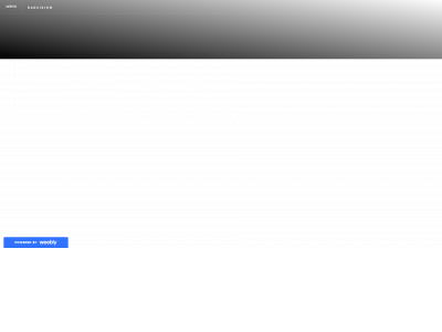 www.radcision.com snapshot