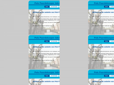 polspaardekooperadvies.nl snapshot
