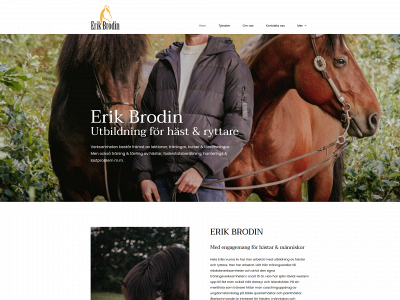 erikbrodin.se snapshot