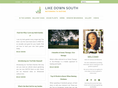 likedownsouth.com snapshot