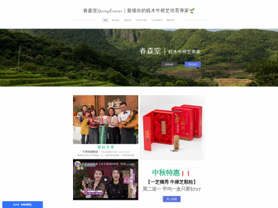springforever.weebly.com snapshot