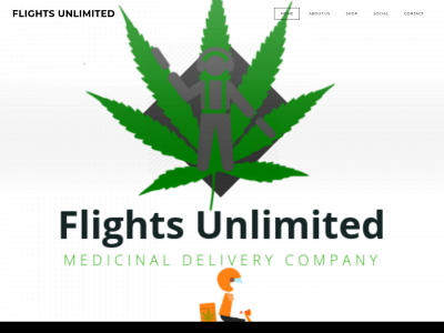 flightsunlimited.weebly.com snapshot