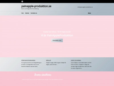 painapple-produktion.se snapshot