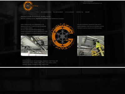 griffinservicegroup.co.uk snapshot