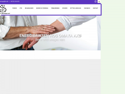 energibriksen.dk snapshot