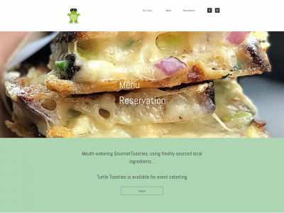 turtletoasties.com snapshot