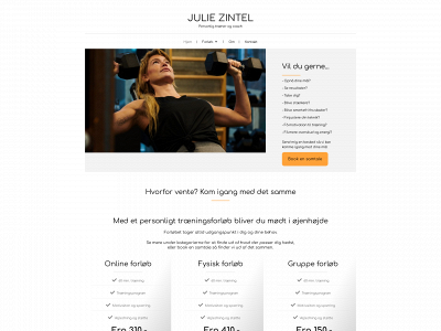 juliezintel.dk snapshot