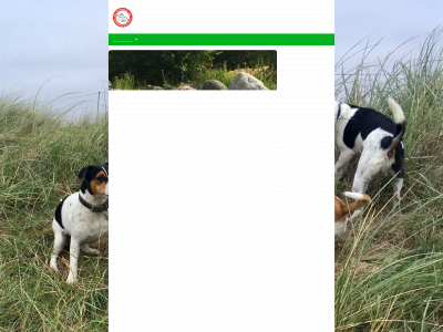 kikkis-kennel.com snapshot