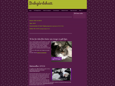 bakgardskatt.com snapshot