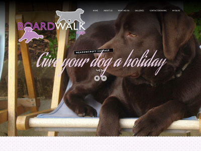 boardwalk-dogs.co.uk snapshot