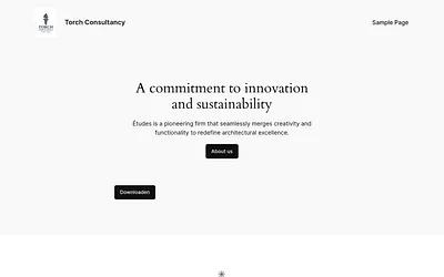 torch-consultancy.nl snapshot