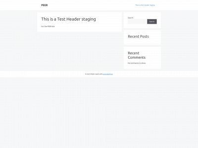 thepeerapp.com snapshot