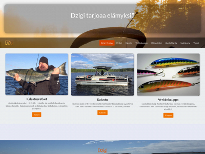 dzigi.fi snapshot