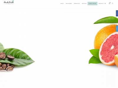 ambifresh.es snapshot