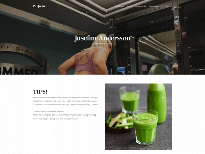 ptjosse.se snapshot