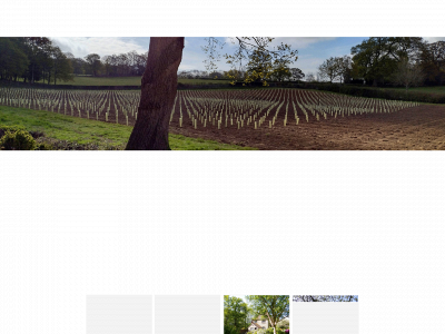 tanhurstestate.co.uk snapshot