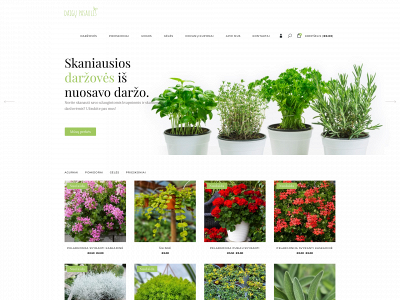 daigupasaulis.lt snapshot