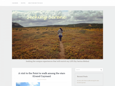 seekingserene.com snapshot