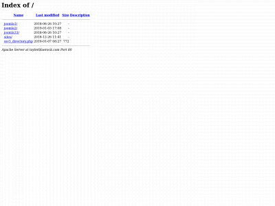 toylerbluerock.com snapshot