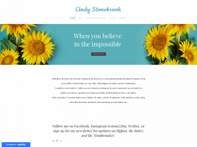 cindystonebrook.weebly.com snapshot
