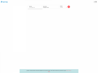 dropnap.com snapshot