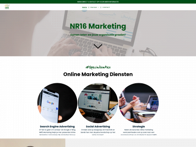 nr16marketing.com snapshot